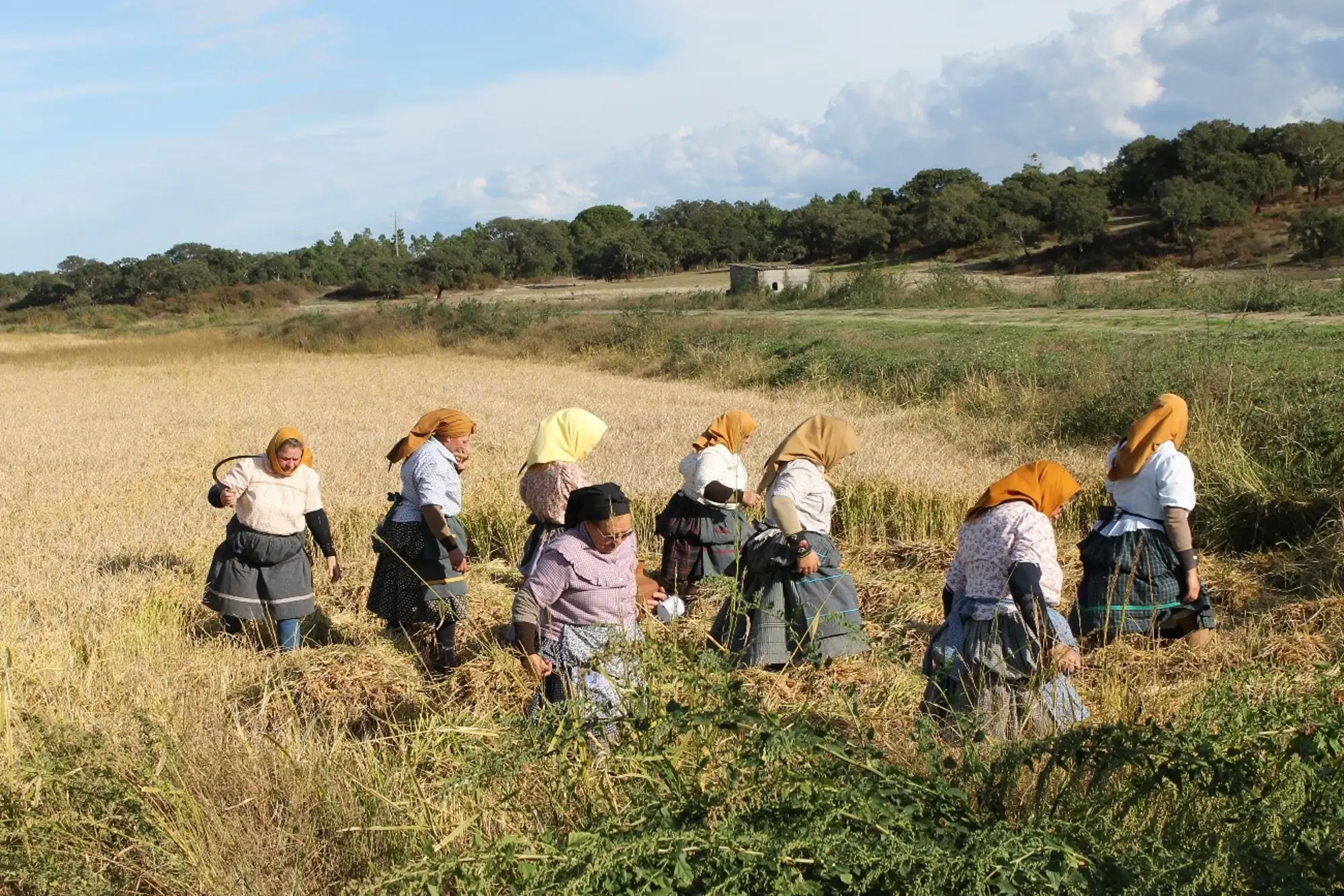 paisagens bonitas e maravilhosas